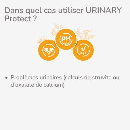  PROTECT CHAT  URINARY | Croquettes vétérinaires pour chat ayant des problèmes urinairesPro-Nutrition Flatazor 2