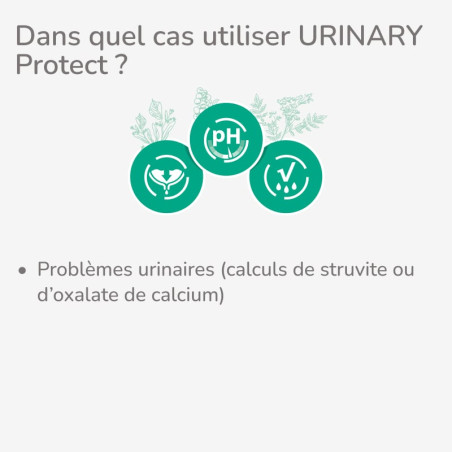  PROTECT CHIEN  URINARY | Croquettes vétérinaires pour chien ayant des problèmes urinairesPro-Nutrition Flatazor 2