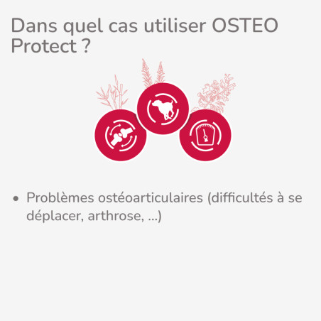  PROTECT CHIEN  OSTEO | Croquettes vétérinaires pour chien ayant des problèmes ostéo - LOT 2x12kgPro-Nutrition Flatazor 2
