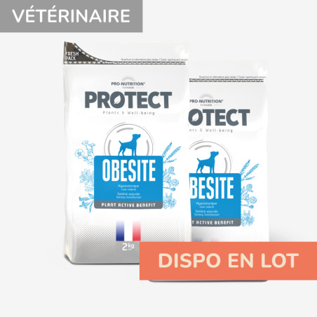  PROTECT CHIEN  OBESITE | Croquettes vétérinaires pour chien ayant tendance à l'embonpoint - LOT 2x2kgPro-Nutrition Flatazor 1