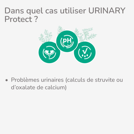  PROTECT CHIEN  URINARY | Croquettes vétérinaires pour chien ayant des problèmes urinaires - LOT 2x12kgPro-Nutrition Flatazor 2