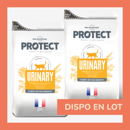  PROTECT CHAT  URINARY | Croquettes vétérinaires pour chat ayant des problèmes urinairesPro-Nutrition Flatazor 4