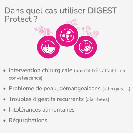  PACK DÉCOUVERTE 3x2kg - PROTECT CHAT DIGEST- Croquettes chat présentant des problèmes digestifsPro-Nutrition Flatazor 2