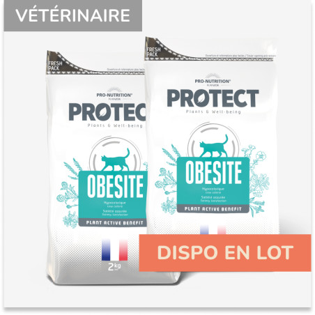  PROTECT CHAT  OBESITE | Croquettes vétérinaires pour chat ayant tendance à l'embonpoint - LOT 2x2kgPro-Nutrition Flatazor 1