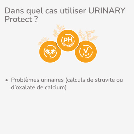  PROTECT CHAT  URINARY | Croquettes vétérinaires pour chat ayant des problèmes urinaires - LOT 2x2kgPro-Nutrition Flatazor 2