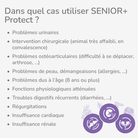  PROTECT CHAT  CARE 8+ | Croquettes vétérinaires pour chat senior - LOT 2x2kgPro-Nutrition Flatazor 2