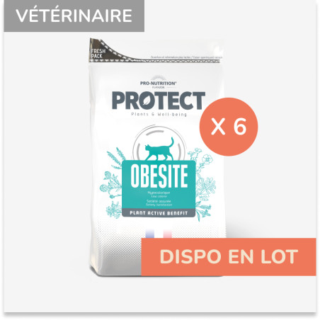  PROTECT CHAT  OBESITE | Croquettes vétérinaires pour chat ayant tendance à l'embonpoint - LOT 6x2kgPro-Nutrition Flatazor 1