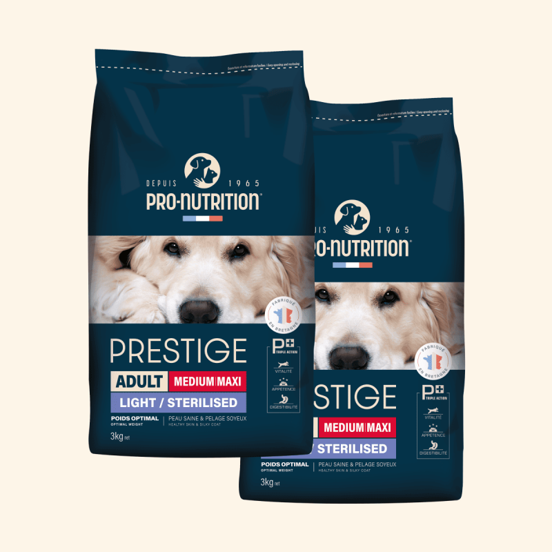  Adult Medium Maxi Light / Sterilised |Chien adulte stérilisé et/ou ayant tendance à l’embonpoint, de moyenne et grande taillePr