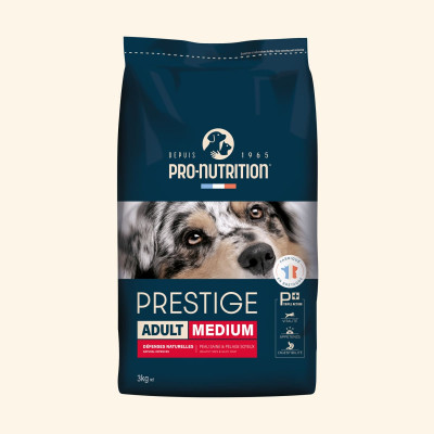 Adult Medium | Chien adulte de taille moyenne