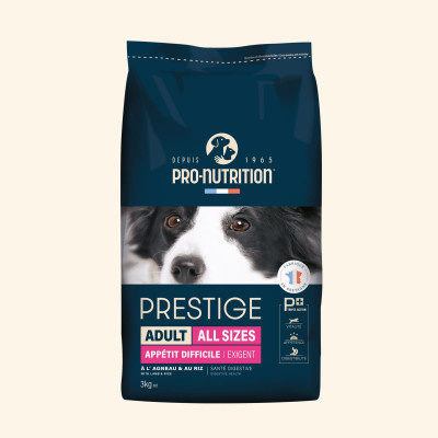 Adult All Sizes Appétit Difficile | Chien adulte de toute taille ayant un appétit difficile