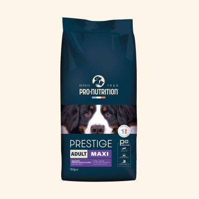 Adult Maxi | Chien adulte de grande taille