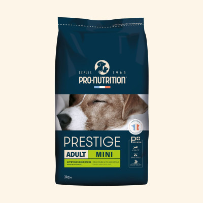 Adult Mini | Chien adulte de petite taille