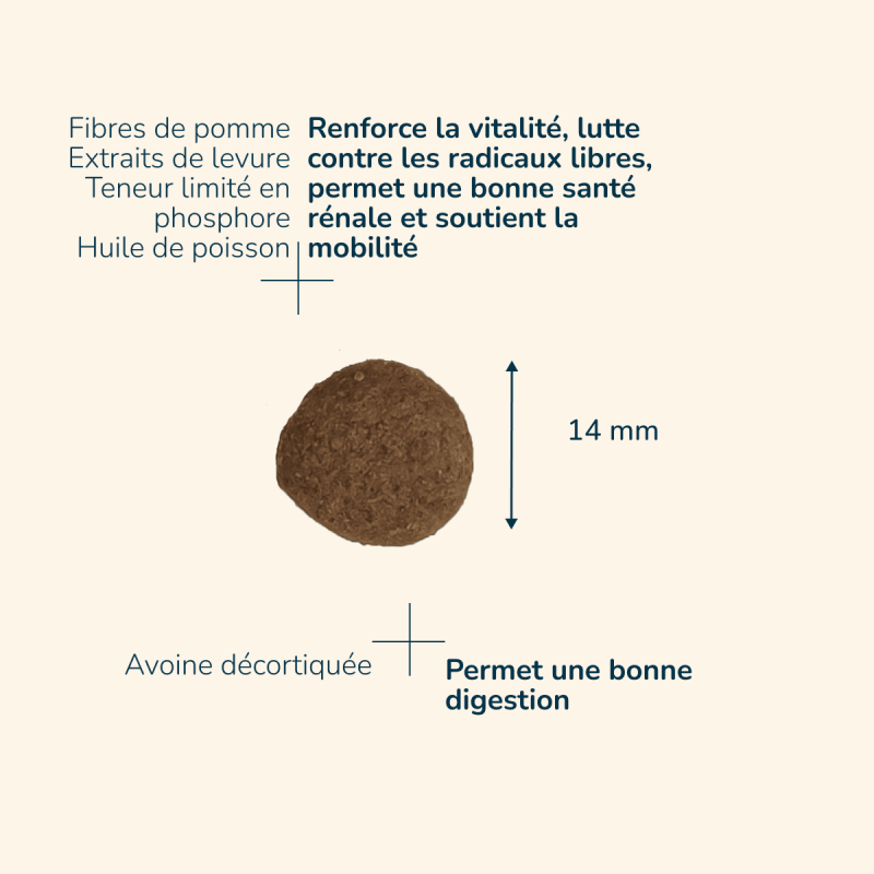  Adult 7+ Medium | Chien adulte de taille moyenne, de plus de 7 ansPro-Nutrition Flatazor 4