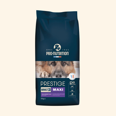 Adult 6+ Maxi | Chien adulte de grande taille, de plus de 6 ans
