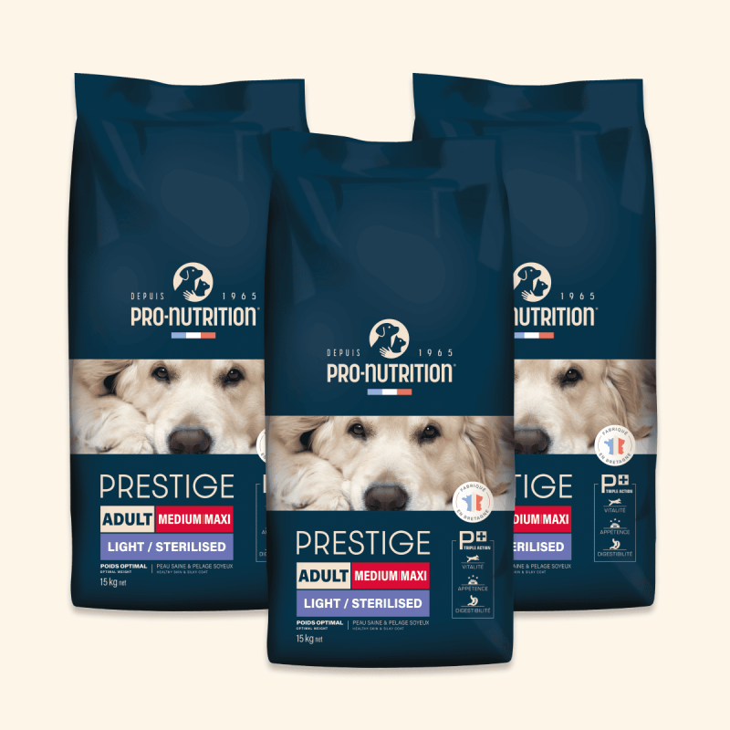  Adult Medium Maxi Light / Sterilised |Chien adulte stérilisé et/ou ayant tendance à l’embonpoint, de moyenne et grande taillePr