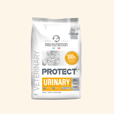 Urinary | Chat ayant des problèmes urinaires
