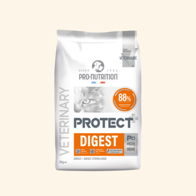 Digest | Chat présentant des problèmes digestifs