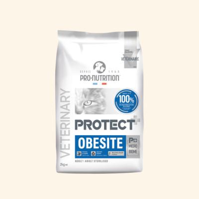 Obesité | Chat en surpoids ou obèse