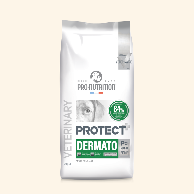  Dermato | Chien ayant des troubles cutanésPro-Nutrition Flatazor 9
