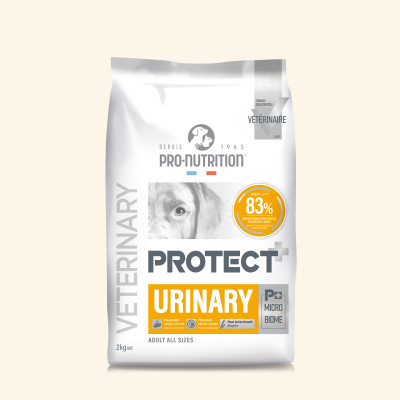 Urinary | Chien ayant des problèmes urinaires