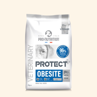 Obesité | Chien en surpoids ou obèse