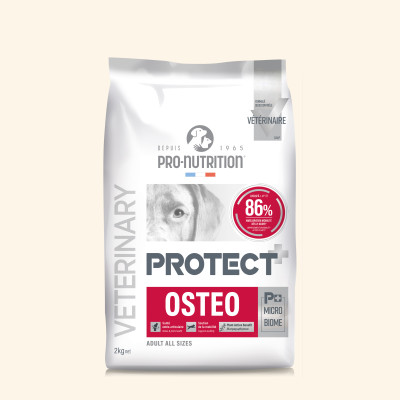 Osteo | Chien ayant des problèmes ostéoarticulaires