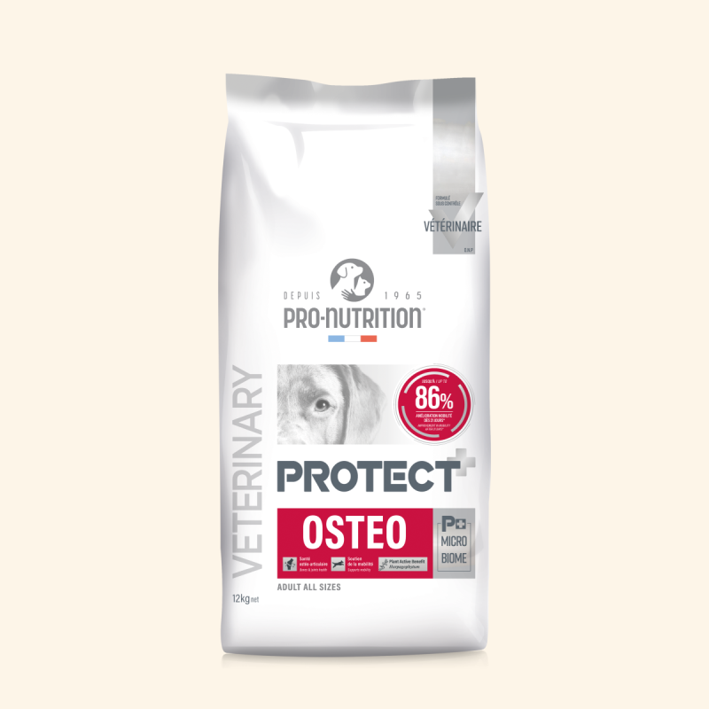  Osteo | Chien ayant des problèmes ostéoarticulairesPro-Nutrition Flatazor 8