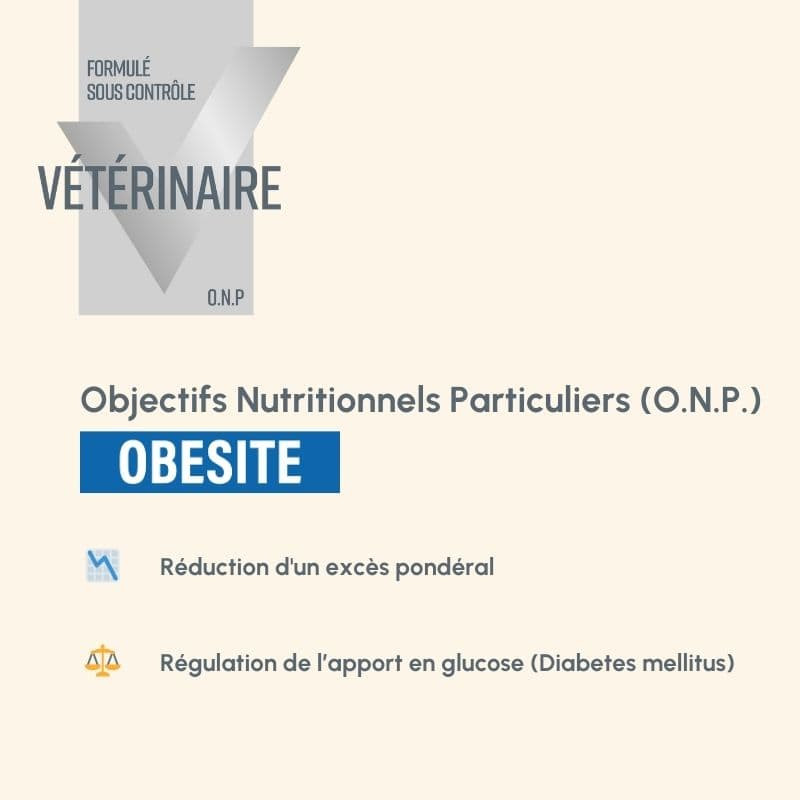  Obesité | Chien en surpoids ou obèsePro-Nutrition Flatazor 3