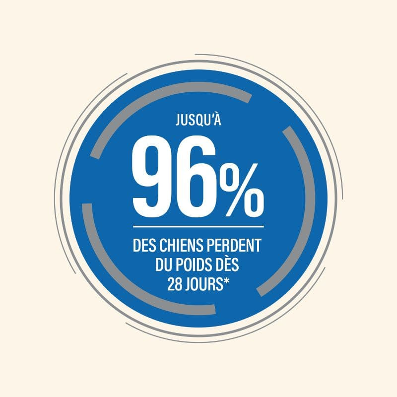  Obesité | Chien en surpoids ou obèsePro-Nutrition Flatazor 2