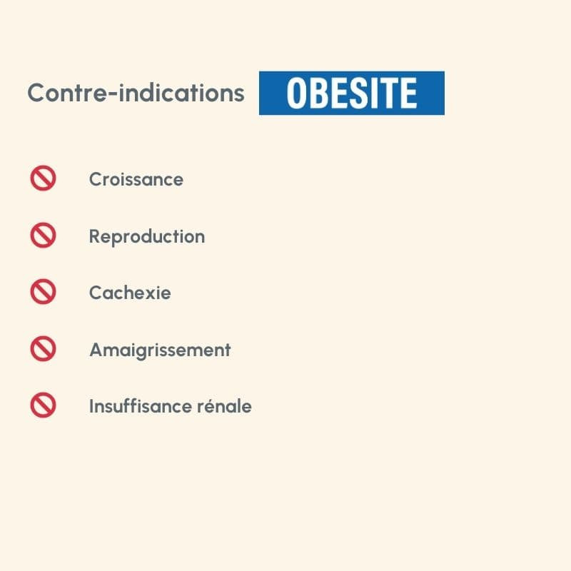  Obesité | Chien en surpoids ou obèsePro-Nutrition Flatazor 7