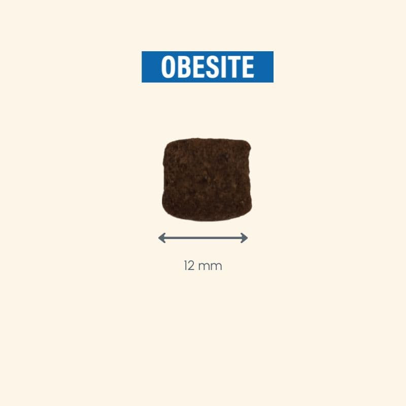  Obesité | Chien en surpoids ou obèsePro-Nutrition Flatazor 8