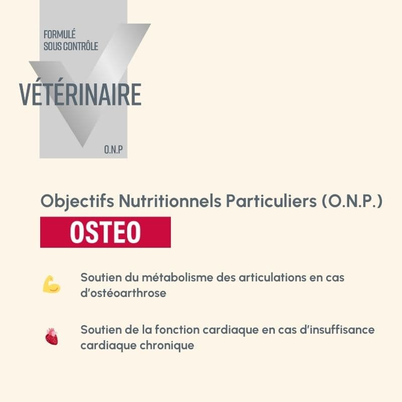  Osteo | Chien ayant des problèmes ostéoarticulairesPro-Nutrition Flatazor 3