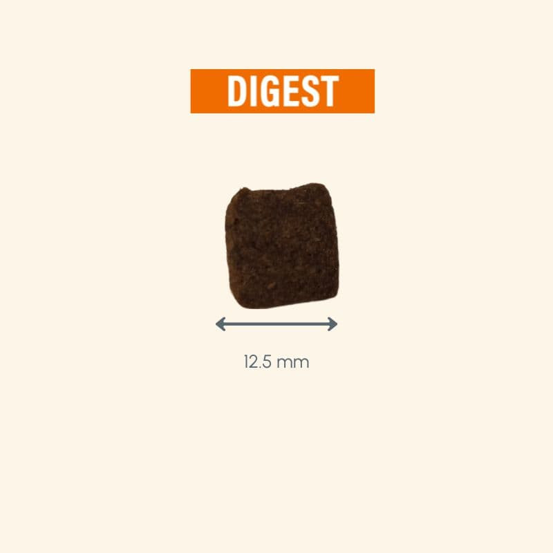  Digest | Chien ayant des troubles gastro-intestinauxPro-Nutrition Flatazor 7