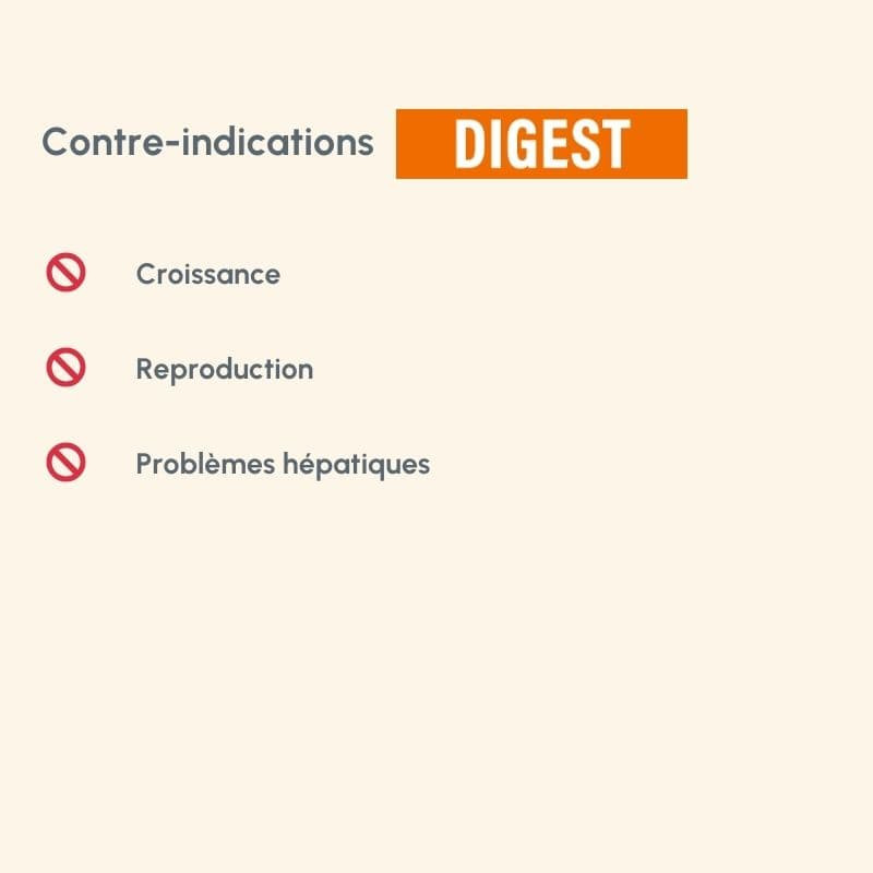  Digest | Chien ayant des troubles gastro-intestinauxPro-Nutrition Flatazor 6
