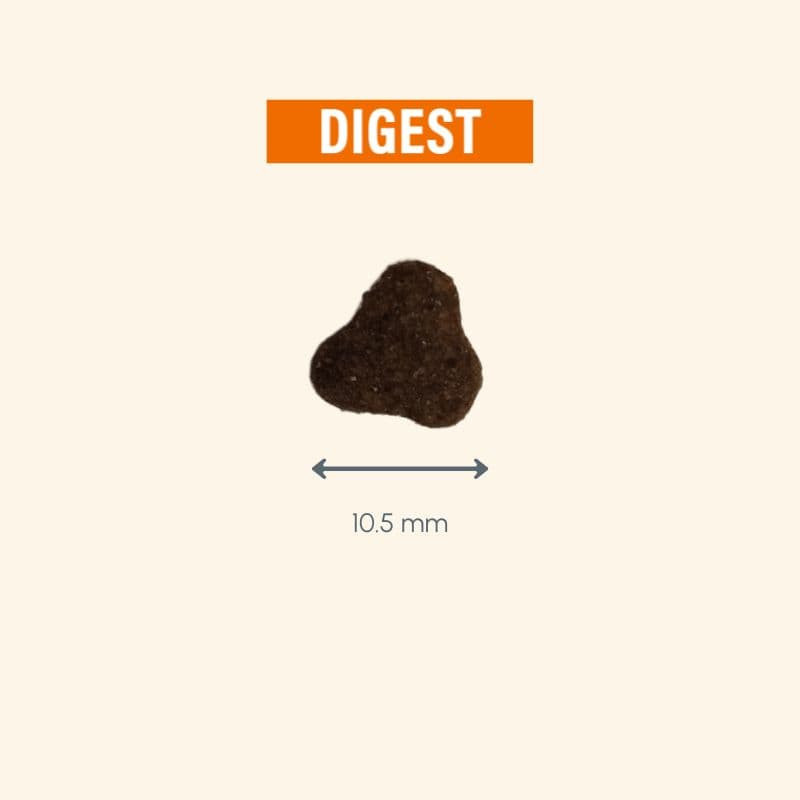  Digest | Chat présentant des problèmes digestifsPro-Nutrition Flatazor 7