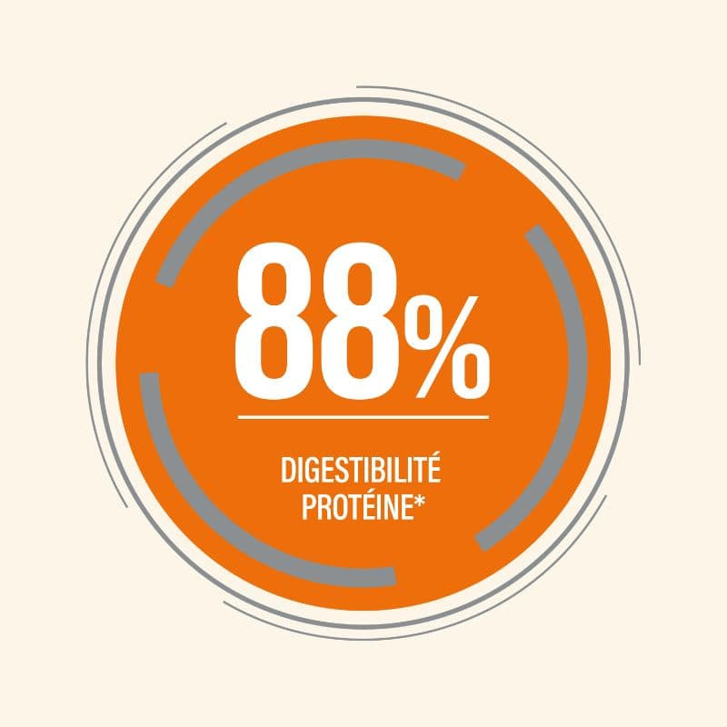  Digest | Chat présentant des problèmes digestifsPro-Nutrition Flatazor 2