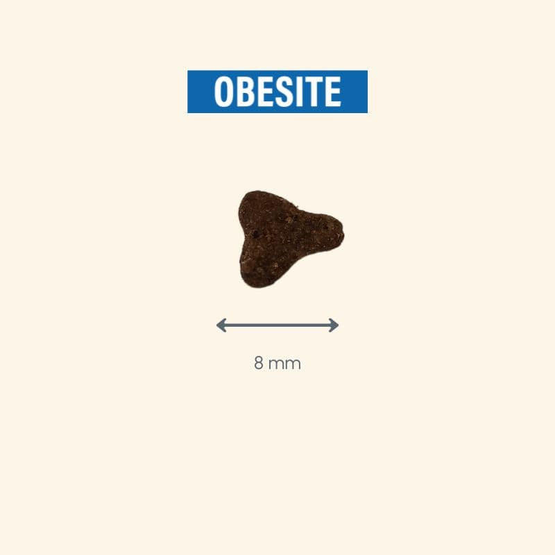  Obesité | Chat en surpoids ou obèsePro-Nutrition Flatazor 7