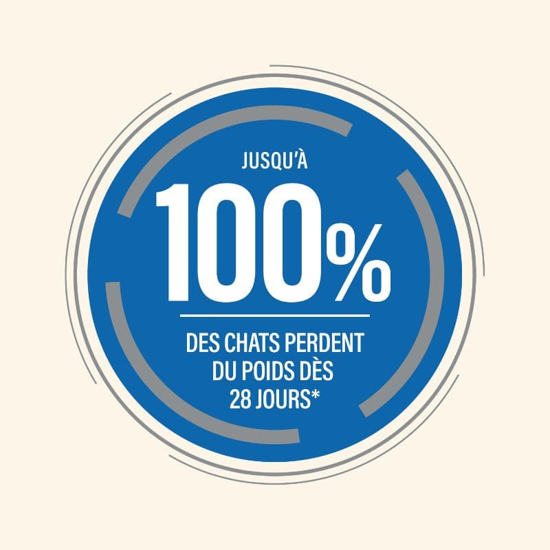  Obesité | Chat en surpoids ou obèsePro-Nutrition Flatazor 2
