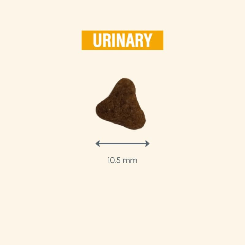  Urinary | Chat ayant des problèmes urinairesPro-Nutrition Flatazor 7