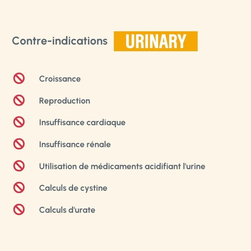  Urinary | Chat ayant des problèmes urinairesPro-Nutrition Flatazor 6