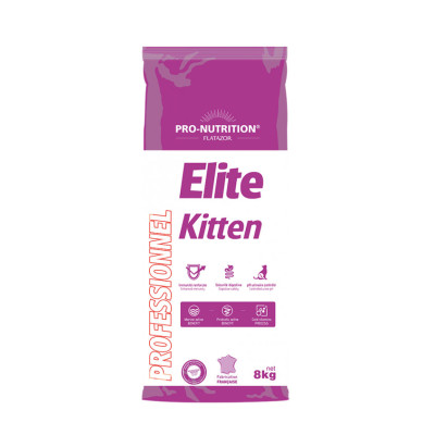 Kitten