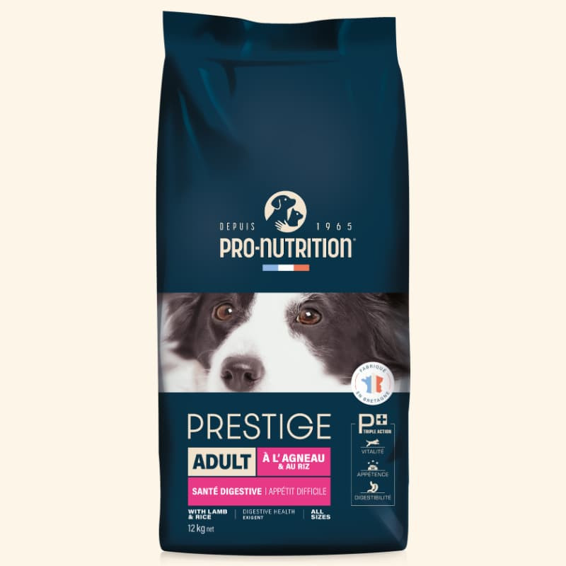  Adult All Sizes Appétit Difficile | Chien adulte de toute taille ayant un appétit difficilePro-Nutrition Flatazor 5