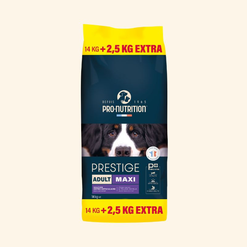  Adult Maxi | Chien adulte de grande taillePro-Nutrition Flatazor 1