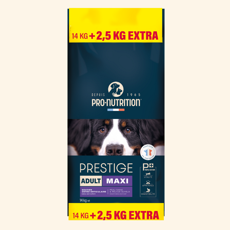  Adult Maxi | Chien adulte de grande taillePro-Nutrition Flatazor 6