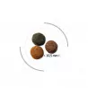 LOT 2X10kg - Croquettes chat - Crocktail Adult Multi volaille et légumesPro-Nutrition Flatazor 3 LOT 2X10kg - Croquettes chat - Crocktail Adult Multi volaille et légumesPro-Nutrition Flatazor 3
