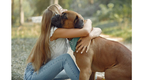 Quelles croquettes sans céréales pour chien sénior ?