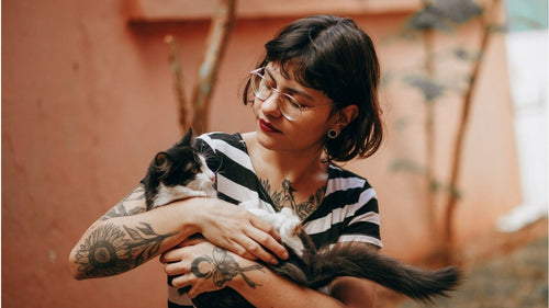 Massage chez le chat : où et comment le caresser ?
