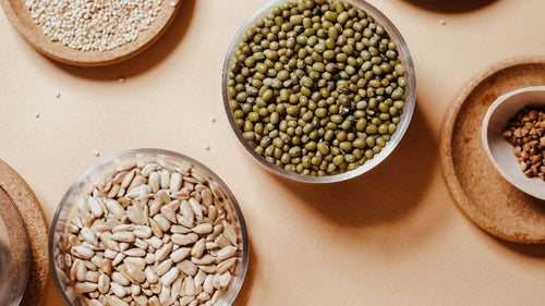 Grain free, la tendance du sans céréales dans les croquettes