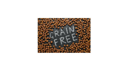 Grain free, la tendance du sans céréales dans les croquettes