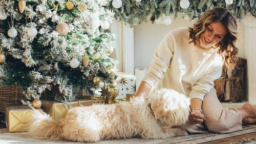 5 idées cadeaux de Noël à offrir pour votre chien et chat
